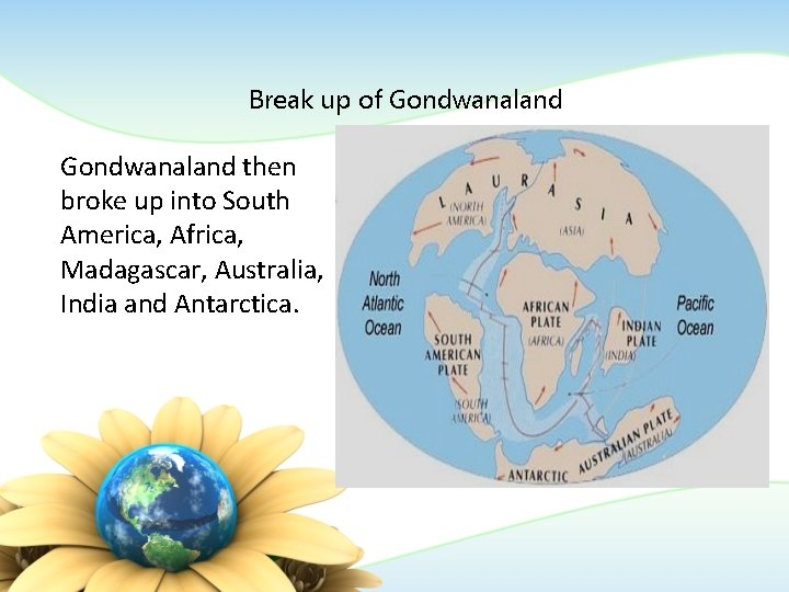 Break up of Gondwanaland then broke up into South America, Africa, Madagascar, Australia, India Break up of Gondwanaland then broke up into South America, Africa, Madagascar, Australia, India