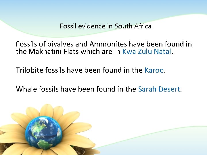 Fossil evidence in South Africa. Fossils of bivalves and Ammonites have been found in Fossil evidence in South Africa. Fossils of bivalves and Ammonites have been found in
