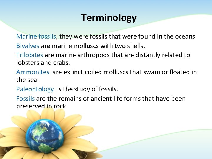 Terminology Marine fossils, they were fossils that were found in the oceans Bivalves are Terminology Marine fossils, they were fossils that were found in the oceans Bivalves are