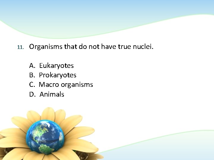 11. Organisms that do not have true nuclei. A. B. C. D. Eukaryotes Prokaryotes 11. Organisms that do not have true nuclei. A. B. C. D. Eukaryotes Prokaryotes