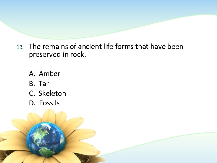 13. The remains of ancient life forms that have been preserved in rock. A. 13. The remains of ancient life forms that have been preserved in rock. A.