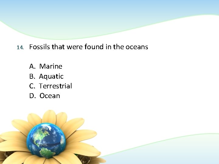 14. Fossils that were found in the oceans A. B. C. D. Marine Aquatic 14. Fossils that were found in the oceans A. B. C. D. Marine Aquatic
