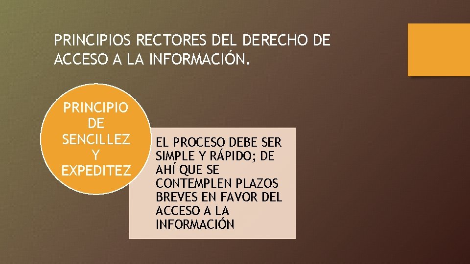 PRINCIPIOS RECTORES DEL DERECHO DE ACCESO A LA INFORMACIÓN. PRINCIPIO DE SENCILLEZ Y EXPEDITEZ