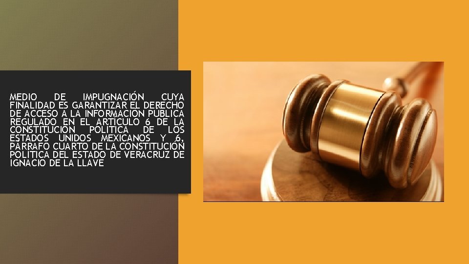 MEDIO DE IMPUGNACIÓN CUYA FINALIDAD ES GARANTIZAR EL DERECHO DE ACCESO A LA INFORMACIÓN