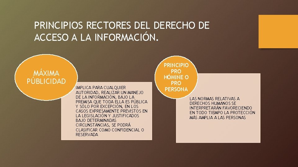 PRINCIPIOS RECTORES DEL DERECHO DE ACCESO A LA INFORMACIÓN. MÁXIMA PÚBLICIDAD IMPLICA PARA CUALQUIER