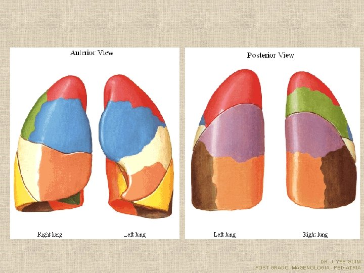 DR. J. YEE GUIM POST GRADO IMAGENOLOGIA - PEDIATRIA 