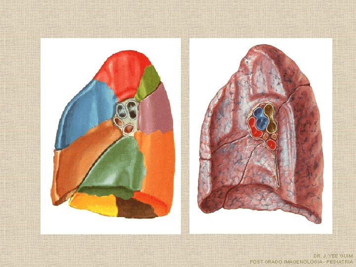 DR. J. YEE GUIM POST GRADO IMAGENOLOGIA - PEDIATRIA 