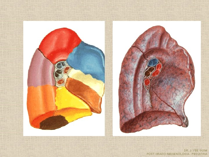 DR. J. YEE GUIM POST GRADO IMAGENOLOGIA - PEDIATRIA 