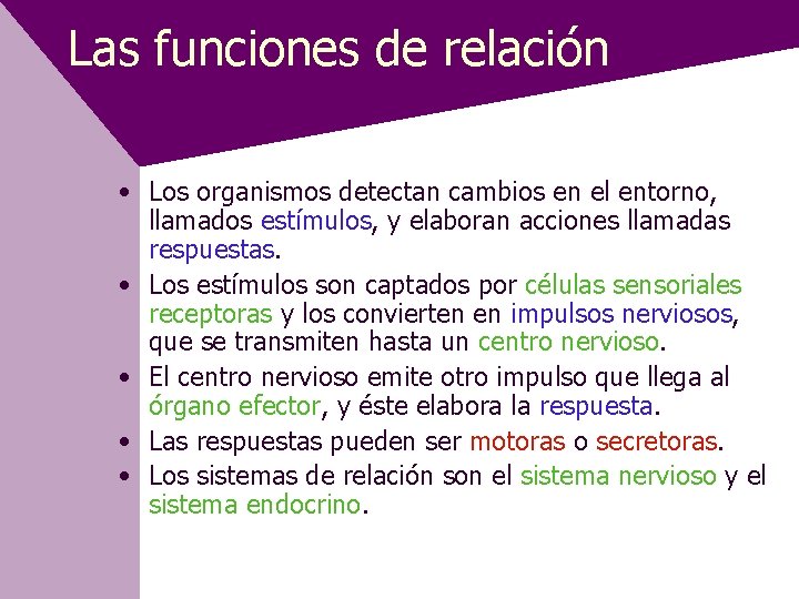 Las funciones de relación • Los organismos detectan cambios en el entorno, llamados estímulos,