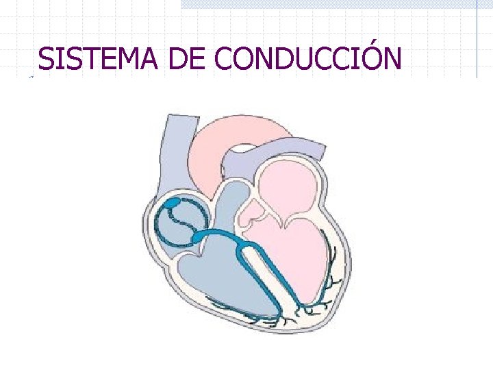 SISTEMA DE CONDUCCIÓN 