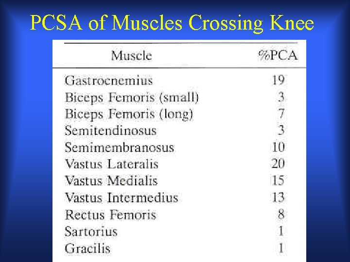 PCSA of Muscles Crossing Knee PCSA of Muscles Crossing Knee