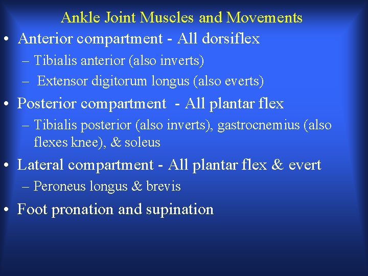 Ankle Joint Muscles and Movements • Anterior compartment - All dorsiflex – Tibialis anterior Ankle Joint Muscles and Movements • Anterior compartment - All dorsiflex – Tibialis anterior