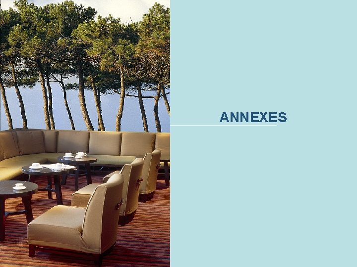 ANNEXES 