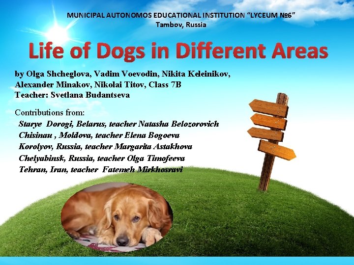 MUNICIPAL AUTONOMOS EDUCATIONAL INSTITUTION “LYCEUM № 6” Tambov, Russia Life of Dogs in Different