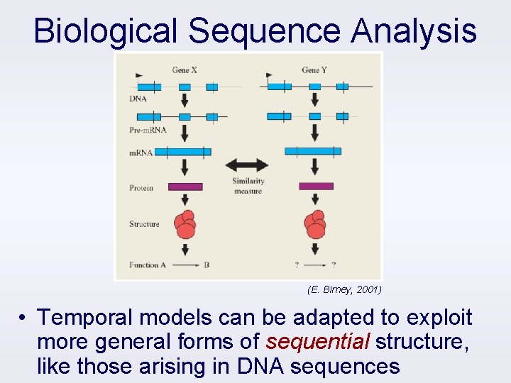 Biological Sequence Analysis (E. Birney, 2001) • Temporal models can be adapted to exploit