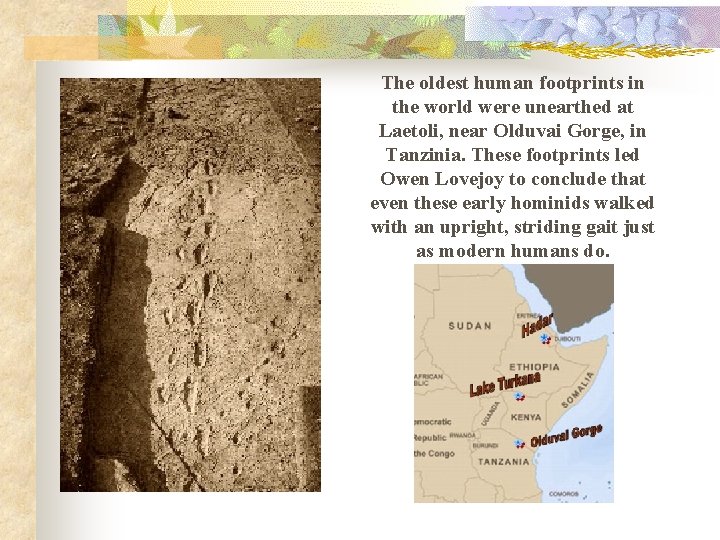 The oldest human footprints in the world were unearthed at Laetoli, near Olduvai Gorge,
