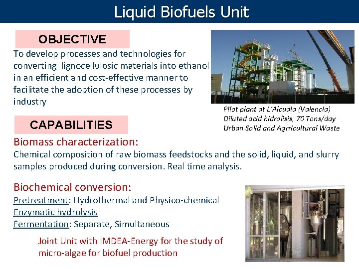 Liquid Biofuels Unit OBJECTIVE To develop processes and technologies for converting lignocellulosic materials into