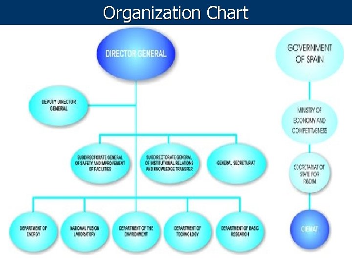 Organization Chart 