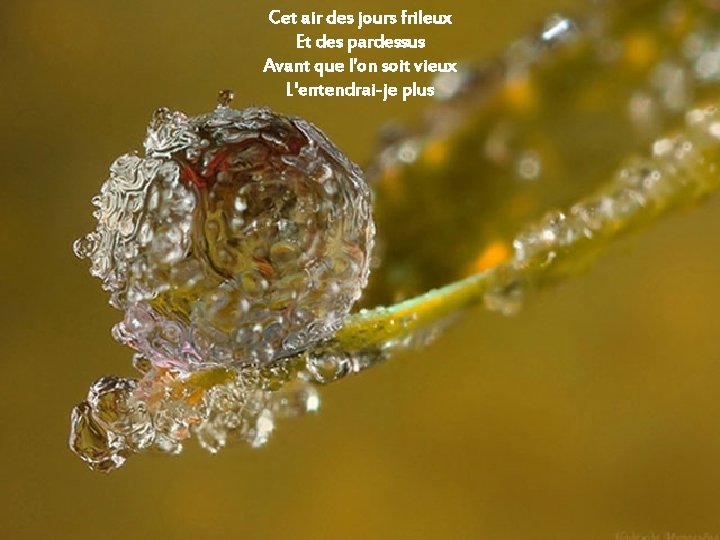 Cet air des jours frileux Et des pardessus Avant que l'on soit vieux L'entendrai-je Cet air des jours frileux Et des pardessus Avant que l'on soit vieux L'entendrai-je