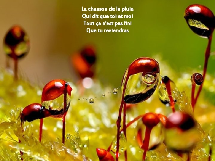 La chanson de la pluie Qui dit que toi et moi Tout ça n'est La chanson de la pluie Qui dit que toi et moi Tout ça n'est