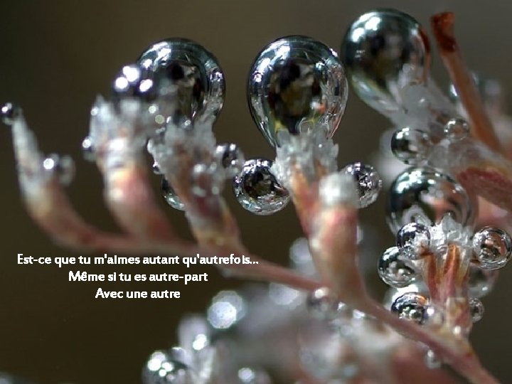Est-ce que tu m'aimes autant qu'autrefois. . . Même si tu es autre-part Avec Est-ce que tu m'aimes autant qu'autrefois. . . Même si tu es autre-part Avec