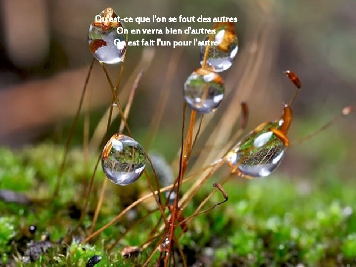 Qu'est-ce que l'on se fout des autres On en verra bien d'autres On est Qu'est-ce que l'on se fout des autres On en verra bien d'autres On est