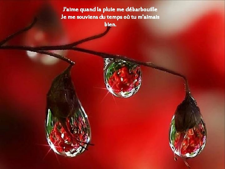 J'aime quand la pluie me débarbouille Je me souviens du temps où tu m'aimais J'aime quand la pluie me débarbouille Je me souviens du temps où tu m'aimais