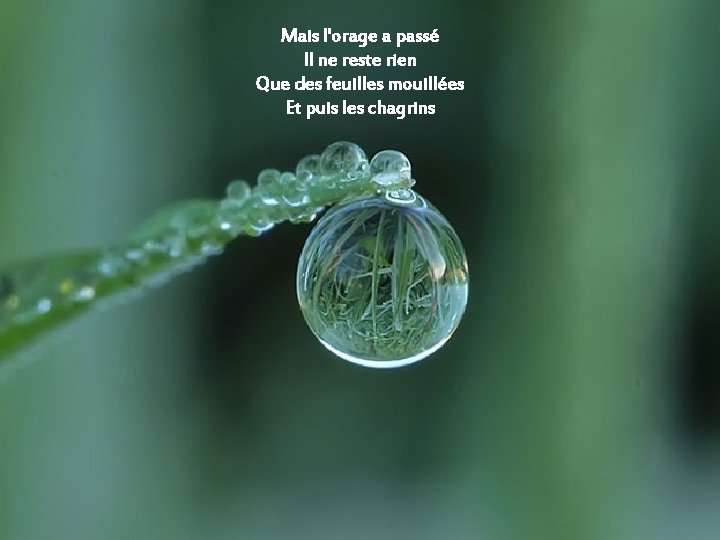 Mais l'orage a passé Il ne reste rien Que des feuilles mouillées Et puis Mais l'orage a passé Il ne reste rien Que des feuilles mouillées Et puis