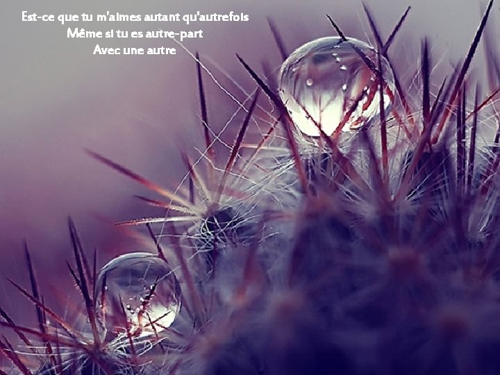 Est-ce que tu m'aimes autant qu'autrefois Même si tu es autre-part Avec une autre Est-ce que tu m'aimes autant qu'autrefois Même si tu es autre-part Avec une autre