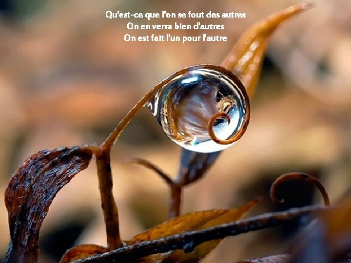 Qu'est-ce que l'on se fout des autres On en verra bien d'autres On est Qu'est-ce que l'on se fout des autres On en verra bien d'autres On est