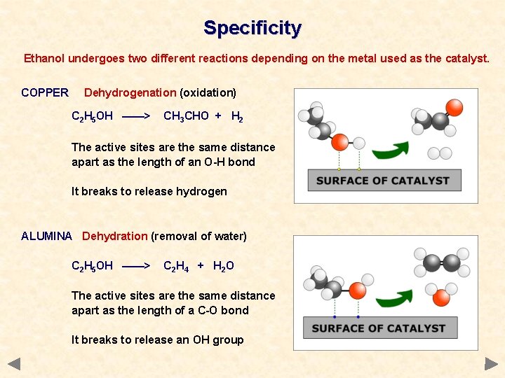 Specificity Ethanol undergoes two different reactions depending on the metal used as the catalyst. Specificity Ethanol undergoes two different reactions depending on the metal used as the catalyst.