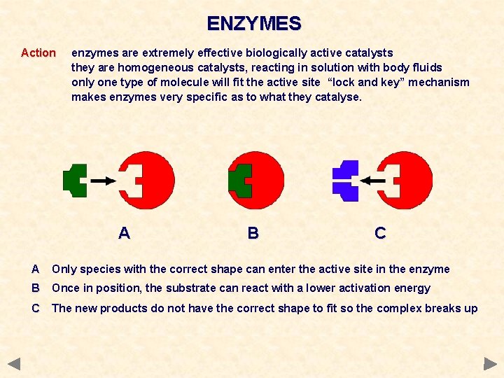 ENZYMES Action enzymes are extremely effective biologically active catalysts they are homogeneous catalysts, reacting ENZYMES Action enzymes are extremely effective biologically active catalysts they are homogeneous catalysts, reacting