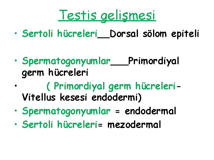 Testis gelişmesi • Sertoli hücreleri__Dorsal sölom epiteli • Spermatogonyumlar___Primordiyal germ hücreleri • ( Primordiyal