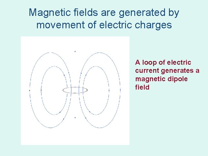 Magnetic fields are generated by movement of electric charges A loop of electric current Magnetic fields are generated by movement of electric charges A loop of electric current