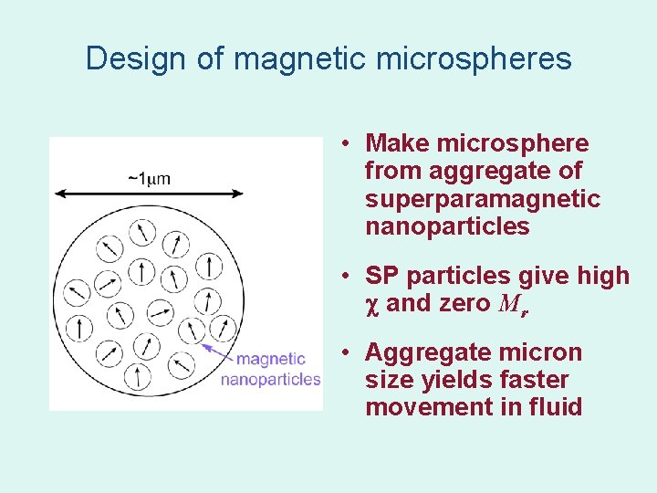 Design of magnetic microspheres • Make microsphere from aggregate of superparamagnetic nanoparticles • SP Design of magnetic microspheres • Make microsphere from aggregate of superparamagnetic nanoparticles • SP