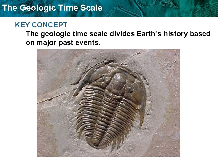 The Geologic Time Scale KEY CONCEPT The geologic time scale divides Earth’s history based