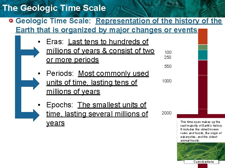 The Geologic Time Scale: Representation of the history of the Earth that is organized