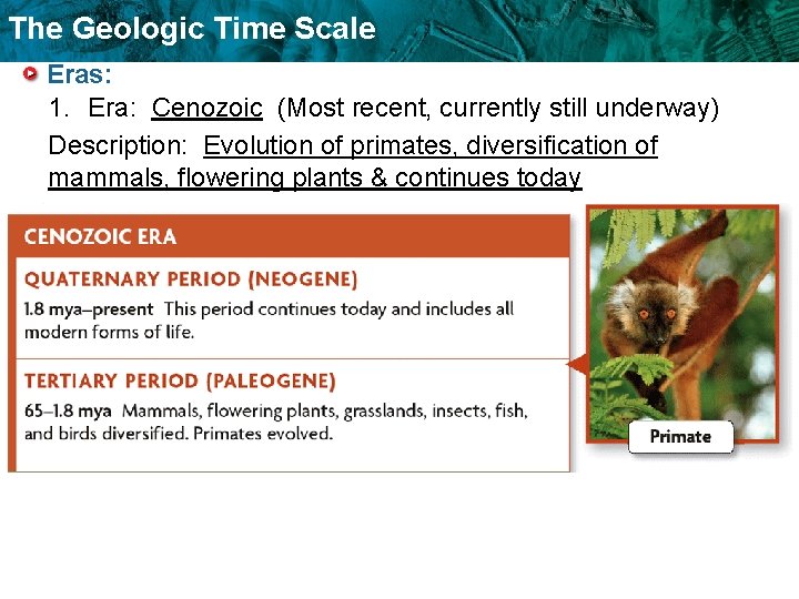The Geologic Time Scale Eras: 1. Era: Cenozoic (Most recent, currently still underway) Description: