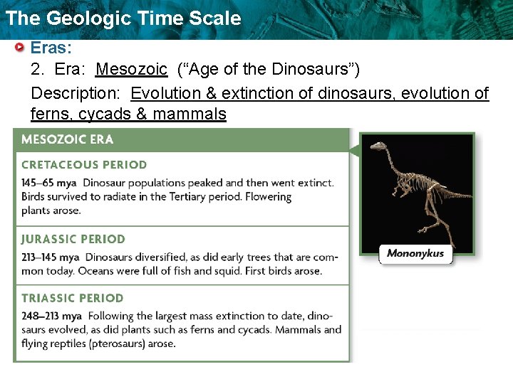 The Geologic Time Scale Eras: 2. Era: Mesozoic (“Age of the Dinosaurs”) Description: Evolution