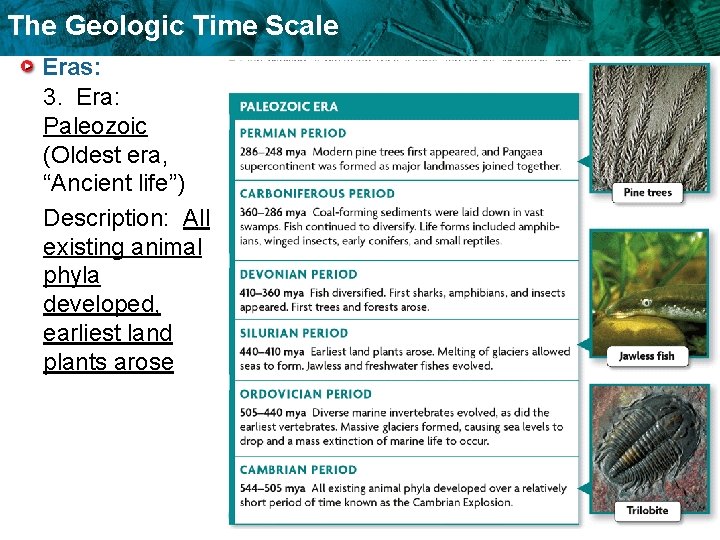 The Geologic Time Scale Eras: 3. Era: Paleozoic (Oldest era, “Ancient life”) Description: All