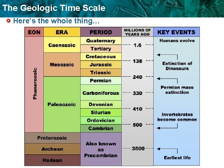 The Geologic Time Scale Here’s the whole thing… 