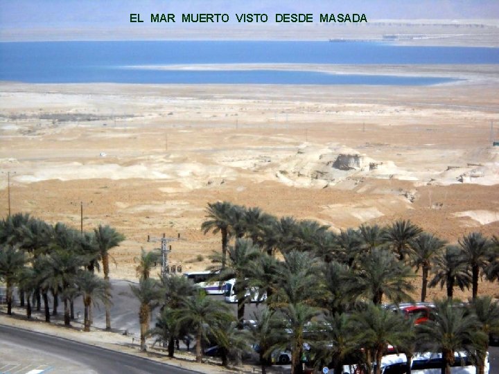 EL MAR MUERTO VISTO DESDE MASADA 