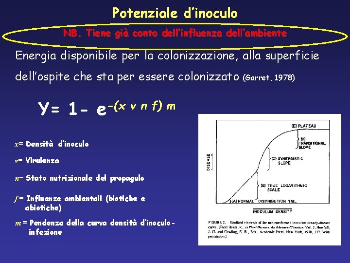Potenziale d’inoculo NB. Tiene già conto dell’influenza dell’ambiente Energia disponibile per la colonizzazione, alla Potenziale d’inoculo NB. Tiene già conto dell’influenza dell’ambiente Energia disponibile per la colonizzazione, alla