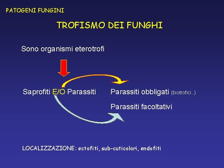 PATOGENI FUNGINI TROFISMO DEI FUNGHI Sono organismi eterotrofi Saprofiti E/O Parassiti obbligati (biotrofici. . PATOGENI FUNGINI TROFISMO DEI FUNGHI Sono organismi eterotrofi Saprofiti E/O Parassiti obbligati (biotrofici. .
