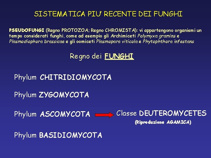 SISTEMATICA PIU’ RECENTE DEI FUNGHI PSEUDOFUNGI (Regno PROTOZOA; Regno CHROMISTA): vi appartengono organismi un SISTEMATICA PIU’ RECENTE DEI FUNGHI PSEUDOFUNGI (Regno PROTOZOA; Regno CHROMISTA): vi appartengono organismi un