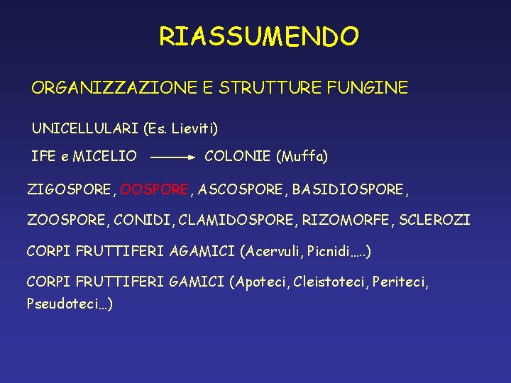 RIASSUMENDO ORGANIZZAZIONE E STRUTTURE FUNGINE UNICELLULARI (Es. Lieviti) IFE e MICELIO COLONIE (Muffa) ZIGOSPORE, RIASSUMENDO ORGANIZZAZIONE E STRUTTURE FUNGINE UNICELLULARI (Es. Lieviti) IFE e MICELIO COLONIE (Muffa) ZIGOSPORE,