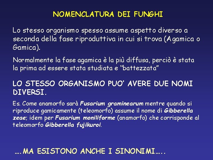 NOMENCLATURA DEI FUNGHI Lo stesso organismo spesso assume aspetto diverso a seconda della fase NOMENCLATURA DEI FUNGHI Lo stesso organismo spesso assume aspetto diverso a seconda della fase