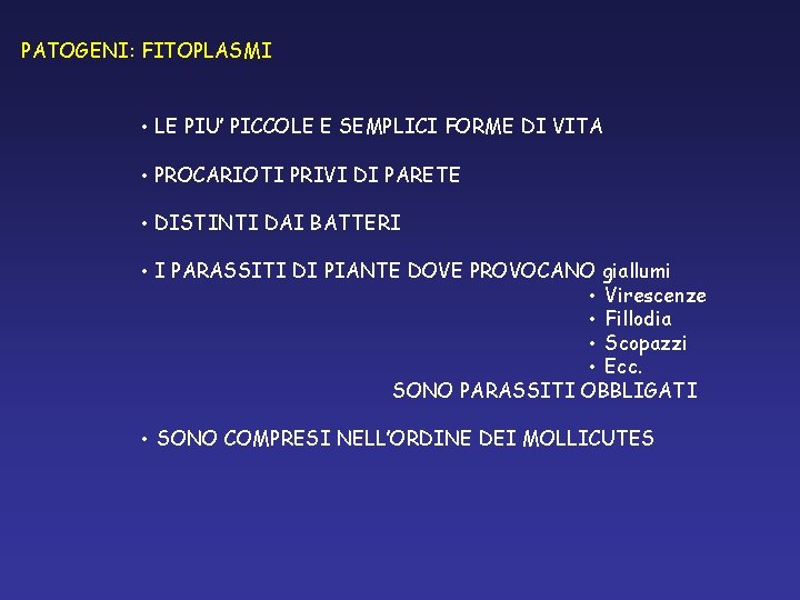 PATOGENI: FITOPLASMI • LE PIU’ PICCOLE E SEMPLICI FORME DI VITA • PROCARIOTI PRIVI PATOGENI: FITOPLASMI • LE PIU’ PICCOLE E SEMPLICI FORME DI VITA • PROCARIOTI PRIVI