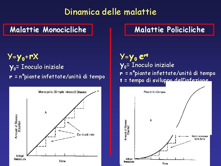 Dinamica delle malattie Monocicliche Y=y 0+r. X y 0= Inoculo iniziale r = n°piante Dinamica delle malattie Monocicliche Y=y 0+r. X y 0= Inoculo iniziale r = n°piante