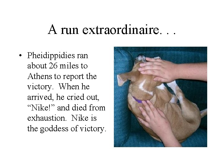 A run extraordinaire. . . • Pheidippidies ran about 26 miles to Athens to